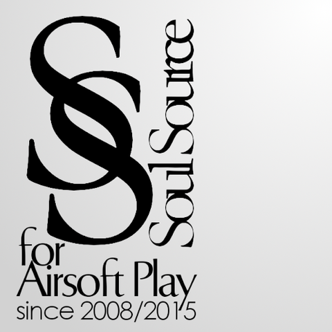 SSblog logo14