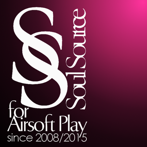 SSblog logo06