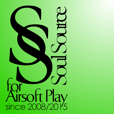 SSblog logo12